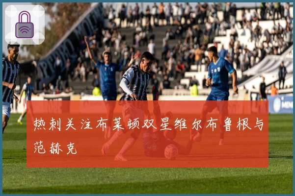 热刺关注布莱顿双星维尔布鲁根与范赫克